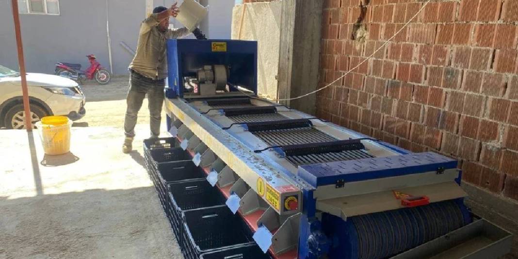 Üreticinin yüzünü güldüren hasat! Rekoltesi düşse de fiyatı zirvede: Rekora koşuyor, 125 TL’den satılıyor 4